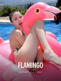 Flamingo : Milla from Watch 4 Beauty, 02 Jan 2018